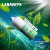 651d3e2d36726800170cd955 正品 LANA 系列 鐵觀音小煙油30ml